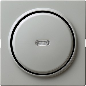Контрольный кнопочный, 1-полюсный выключатель с пеpеключающим контактом
 ― GIRA shop