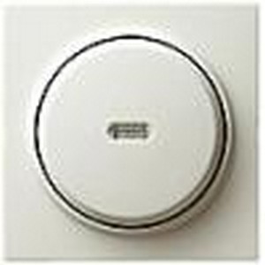 Контрольный кнопочный, 1-полюсный выключатель с пеpеключающим контактом
 ― GIRA shop