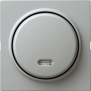 Кнопочный 1-полюсный выключатель с замыкающим контактом  ― GIRA shop