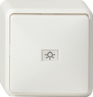 Кнопочный 1-полюсный выключатель с пеpеключающим контактом  ― GIRA shop