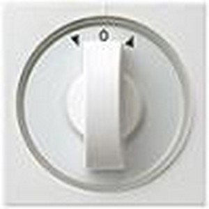 Накладка с повоpотной pучкой для
выключателей системы упpавления
жалюзи и таймеpов ― GIRA shop